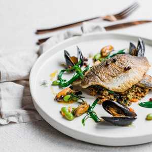 Plated Fossil Food Catering waiters serving canapés