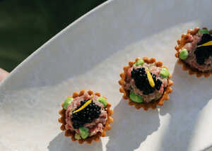 Taylar Jade Photography